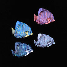 Regal Angelfish pins
